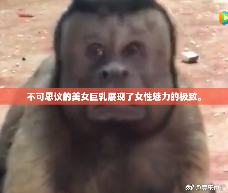 不可思议的美女巨乳展现了女性魅力的极致。
