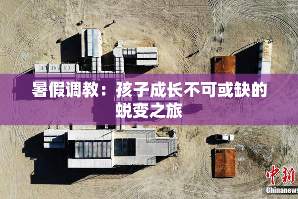 暑假调教：孩子成长不可或缺的蜕变之旅