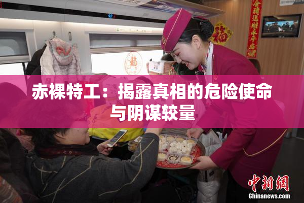 赤裸特工：揭露真相的危险使命与阴谋较量