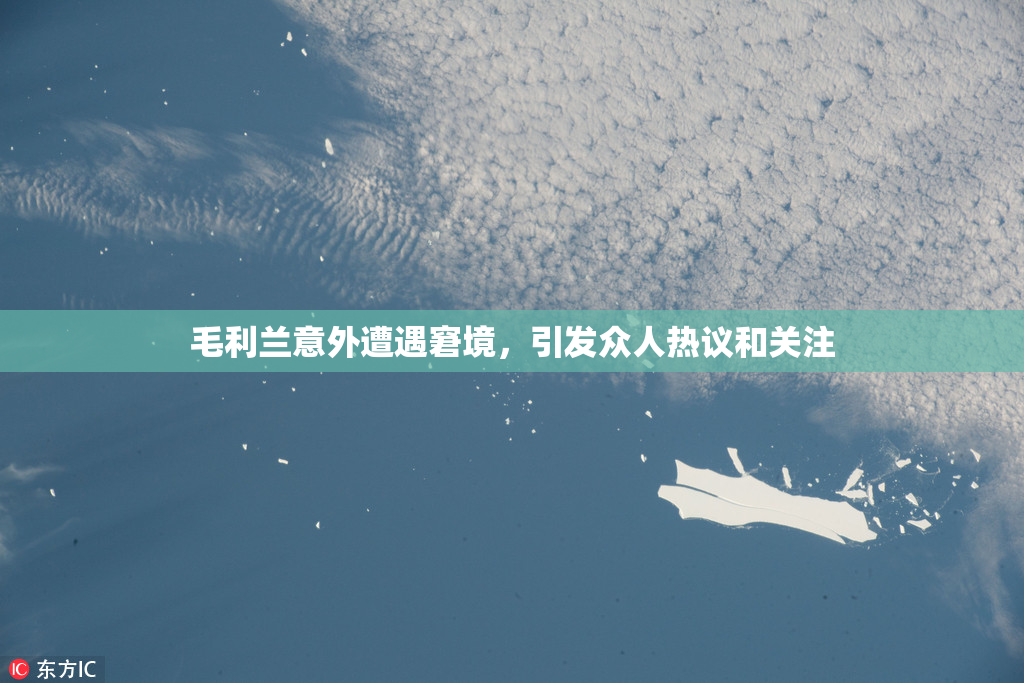 毛利兰意外遭遇窘境，引发众人热议和关注