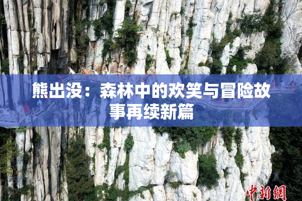 熊出没：森林中的欢笑与冒险故事再续新篇