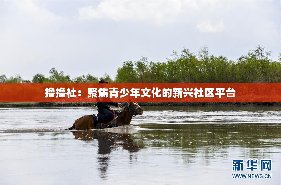 撸撸社：聚焦青少年文化的新兴社区平台