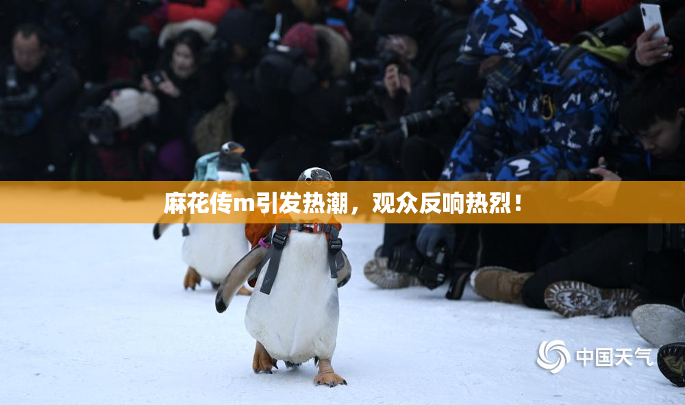 麻花传m引发热潮，观众反响热烈！