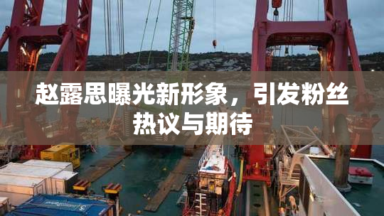 赵露思曝光新形象，引发粉丝热议与期待