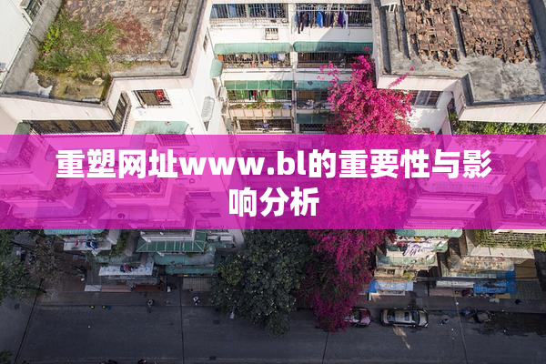 重塑网址www.bl的重要性与影响分析