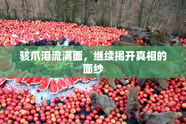 骇爪泪流满面，继续揭开真相的面纱