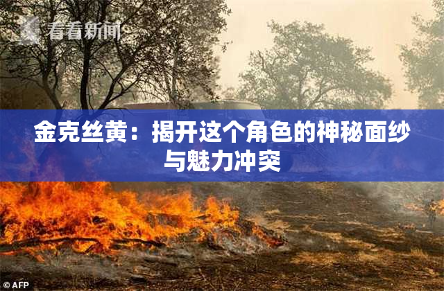 金克丝黄：揭开这个角色的神秘面纱与魅力冲突
