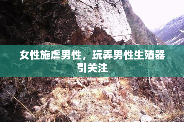 女性施虐男性，玩弄男性生殖器引关注