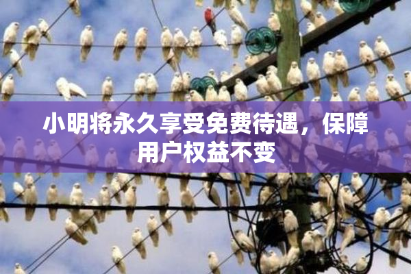 小明将永久享受免费待遇，保障用户权益不变