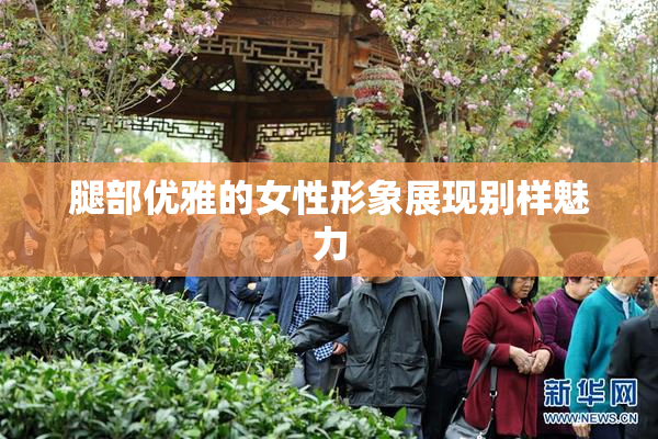 腿部优雅的女性形象展现别样魅力