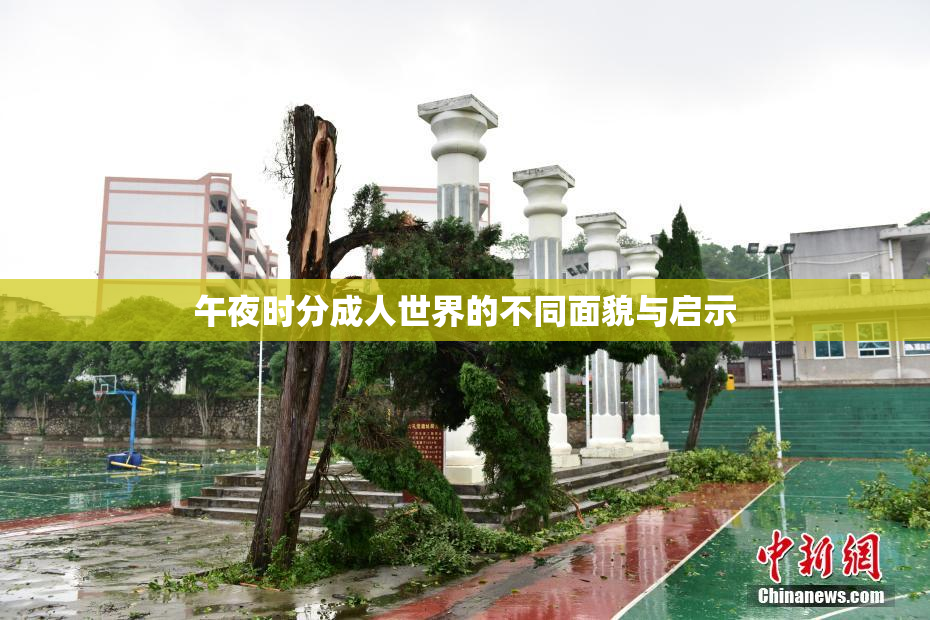 午夜时分成人世界的不同面貌与启示