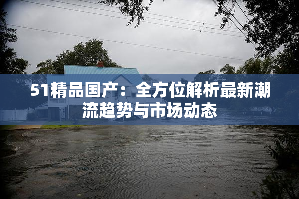 51精品国产：全方位解析最新潮流趋势与市场动态