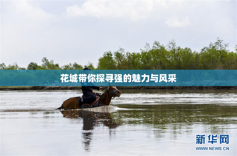 花城带你探寻强的魅力与风采