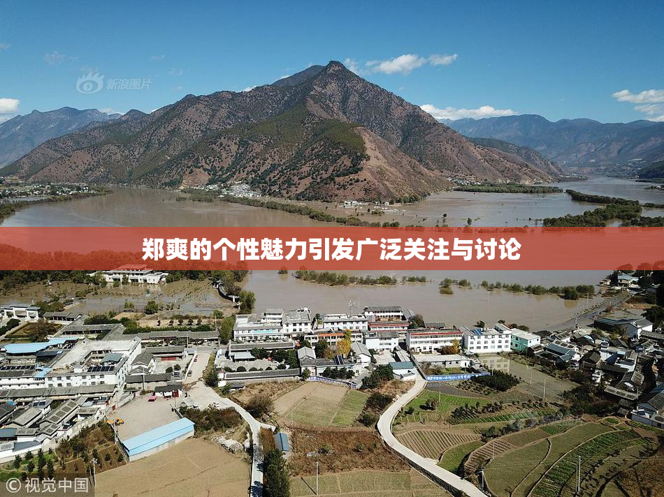 郑爽的个性魅力引发广泛关注与讨论