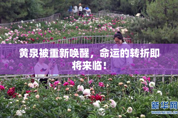 黄泉被重新唤醒，命运的转折即将来临！
