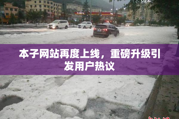 本子网站再度上线，重磅升级引发用户热议