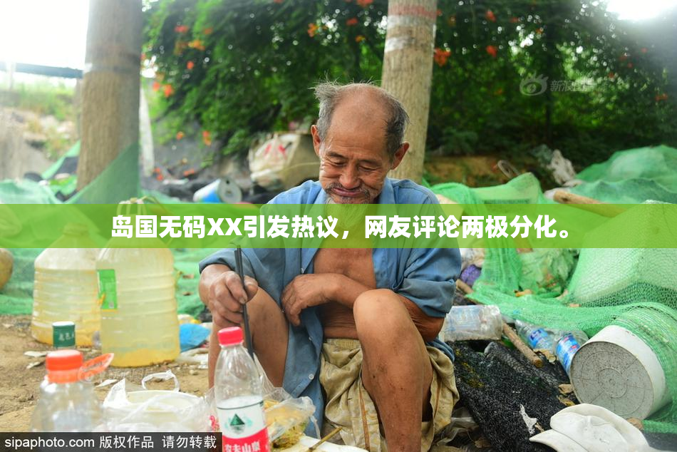 岛国无码XX引发热议，网友评论两极分化。