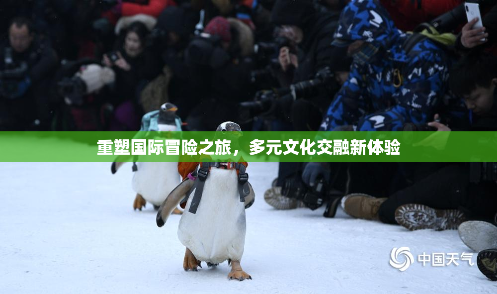 重塑国际冒险之旅，多元文化交融新体验