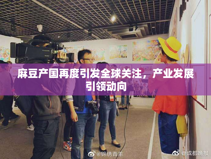 麻豆产国再度引发全球关注，产业发展引领动向