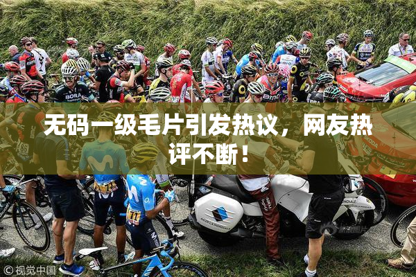 无码一级毛片引发热议，网友热评不断！