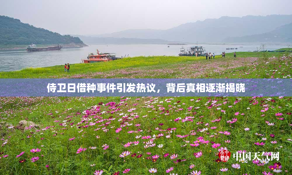 侍卫日借种事件引发热议，背后真相逐渐揭晓