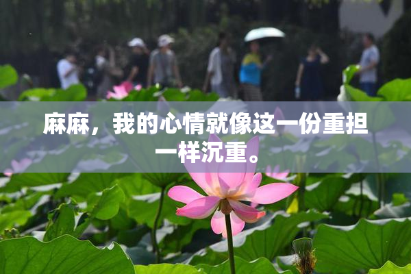 麻麻，我的心情就像这一份重担一样沉重。