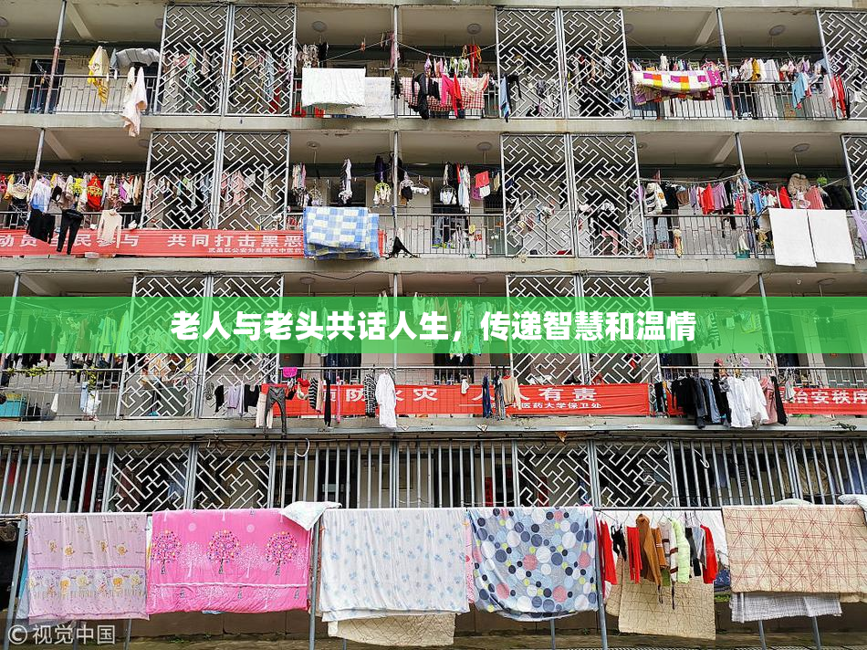 老人与老头共话人生，传递智慧和温情