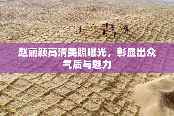 赵丽颖高清美照曝光，彰显出众气质与魅力