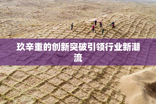 玖辛重的创新突破引领行业新潮流