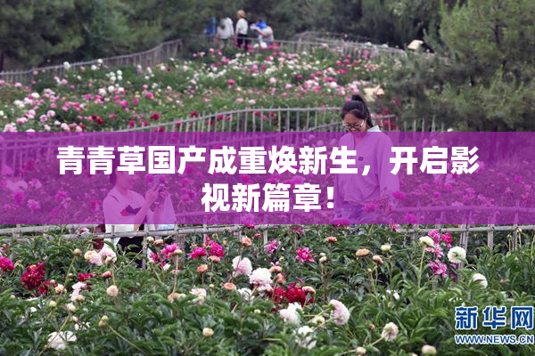 青青草国产成重焕新生，开启影视新篇章！