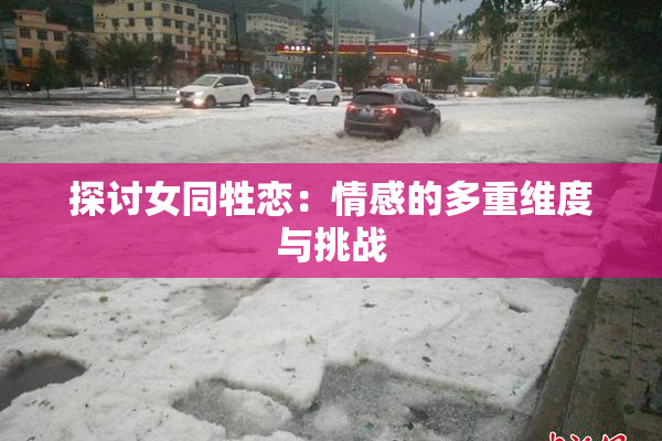 探讨女同牲恋：情感的多重维度与挑战