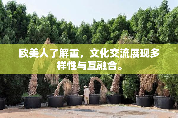 欧美人了解重，文化交流展现多样性与互融合。