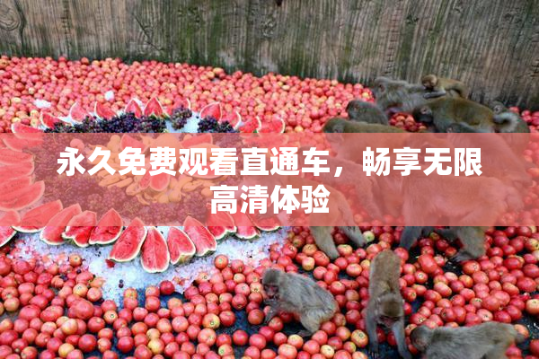 永久免费观看直通车，畅享无限高清体验
