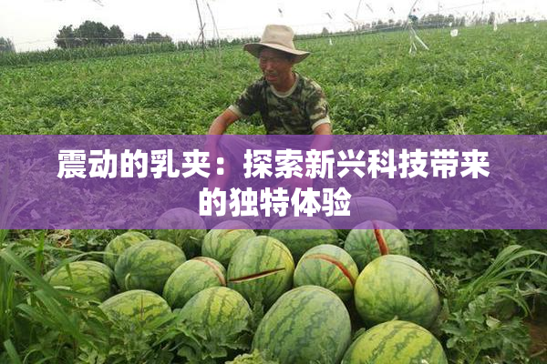 震动的乳夹：探索新兴科技带来的独特体验