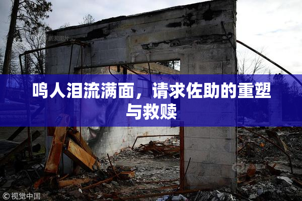 鸣人泪流满面，请求佐助的重塑与救赎