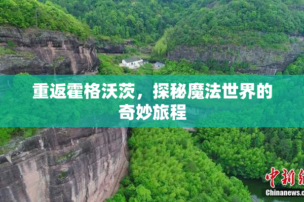 重返霍格沃茨，探秘魔法世界的奇妙旅程