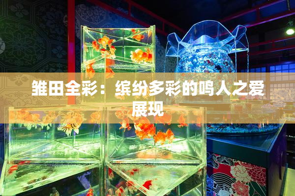 雏田全彩：缤纷多彩的鸣人之爱展现