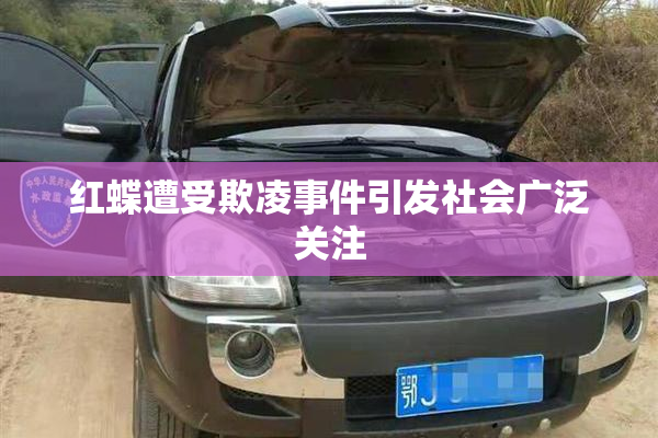 红蝶遭受欺凌事件引发社会广泛关注