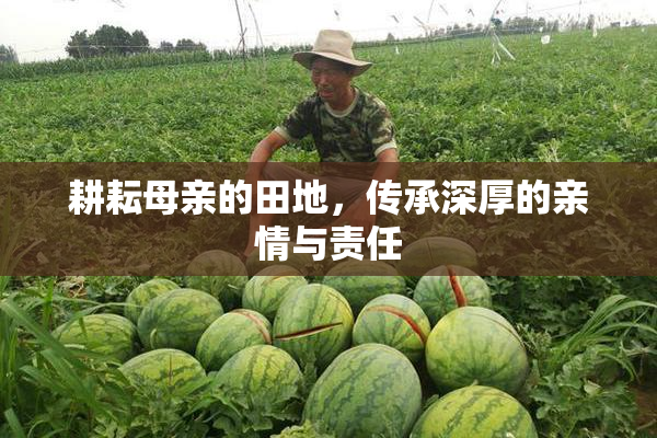 耕耘母亲的田地，传承深厚的亲情与责任