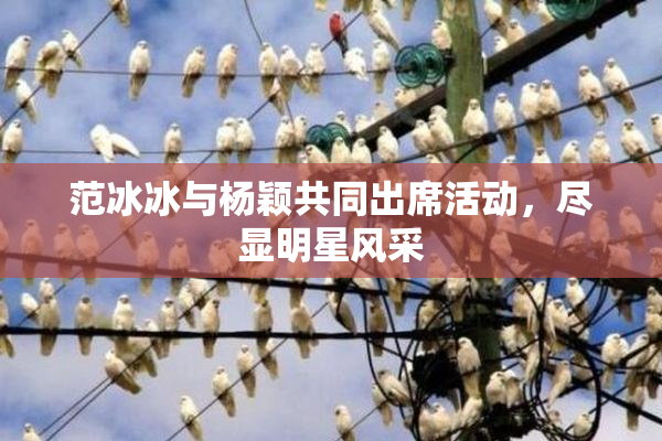 范冰冰与杨颖共同出席活动，尽显明星风采