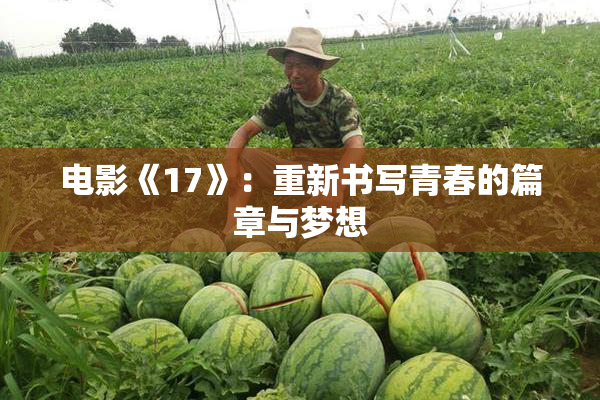 电影《17》：重新书写青春的篇章与梦想
