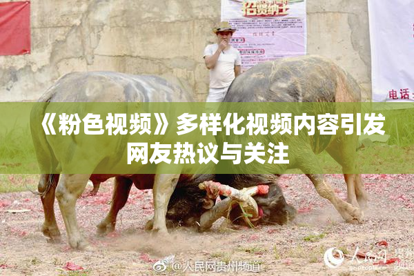 《粉色视频》多样化视频内容引发网友热议与关注