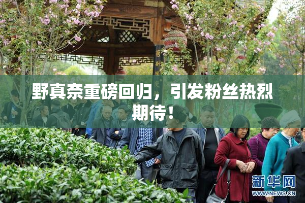 野真奈重磅回归，引发粉丝热烈期待！