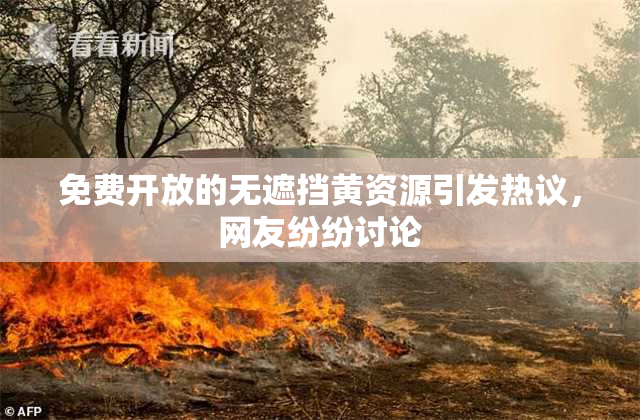 免费开放的无遮挡黄资源引发热议，网友纷纷讨论