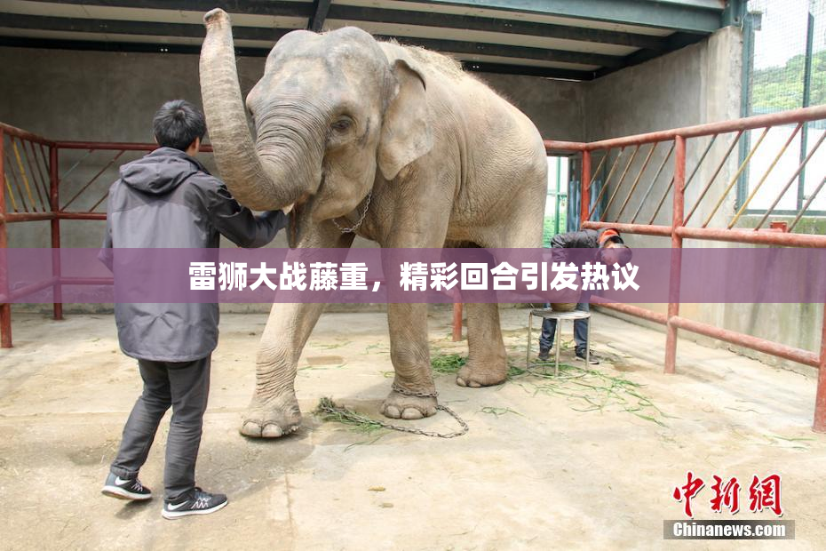 雷狮大战藤重，精彩回合引发热议