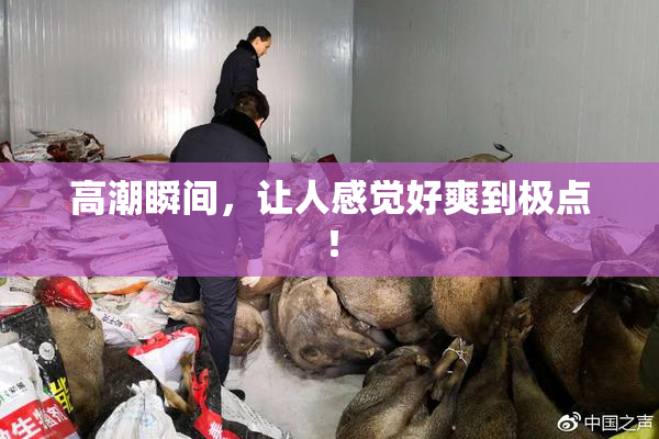 高潮瞬间，让人感觉好爽到极点！