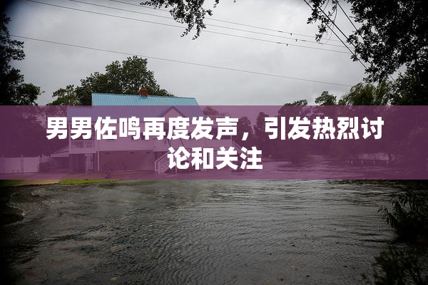 男男佐鸣再度发声，引发热烈讨论和关注