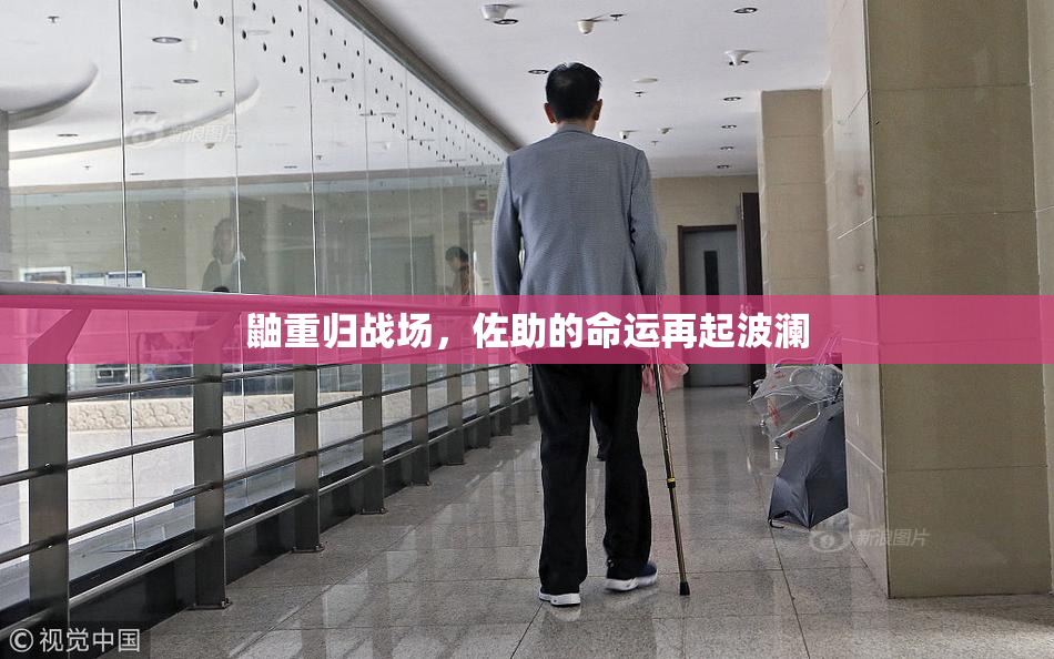 鼬重归战场，佐助的命运再起波澜