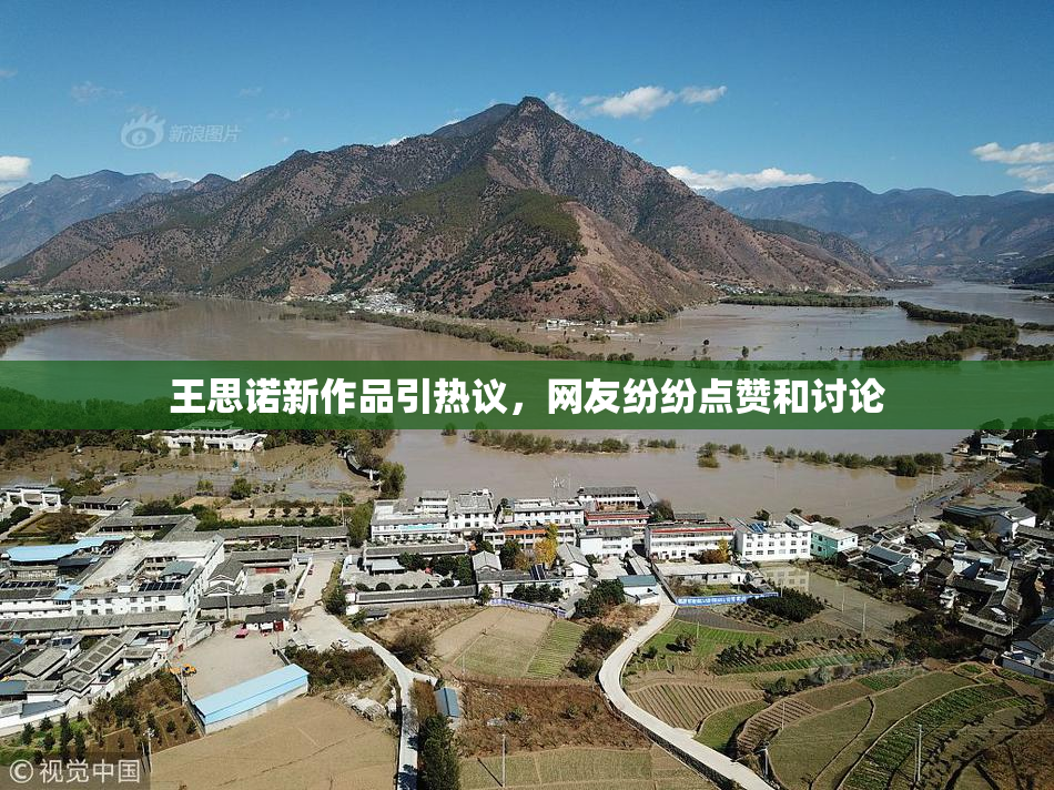王思诺新作品引热议，网友纷纷点赞和讨论