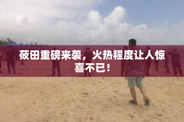 莜田重磅来袭，火热程度让人惊喜不已！